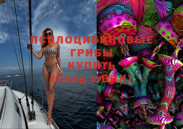 PSILOCYBIN Балабаново