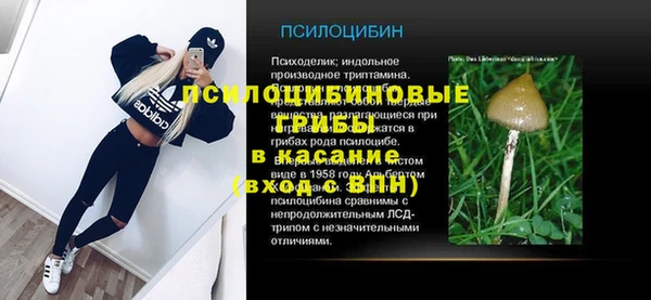 PSILOCYBIN Балабаново