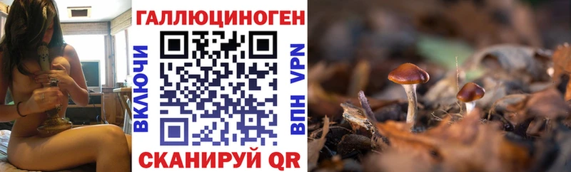 нарко площадка официальный сайт Златоуст Псилоцибиновые грибы Psilocybe купить наркотики сайты